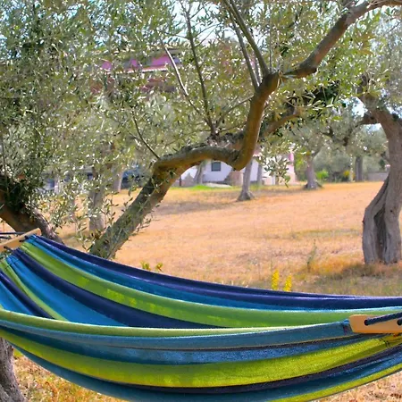 Rita - Casa Vista Mare - Punta Penna アパート ヴァスト